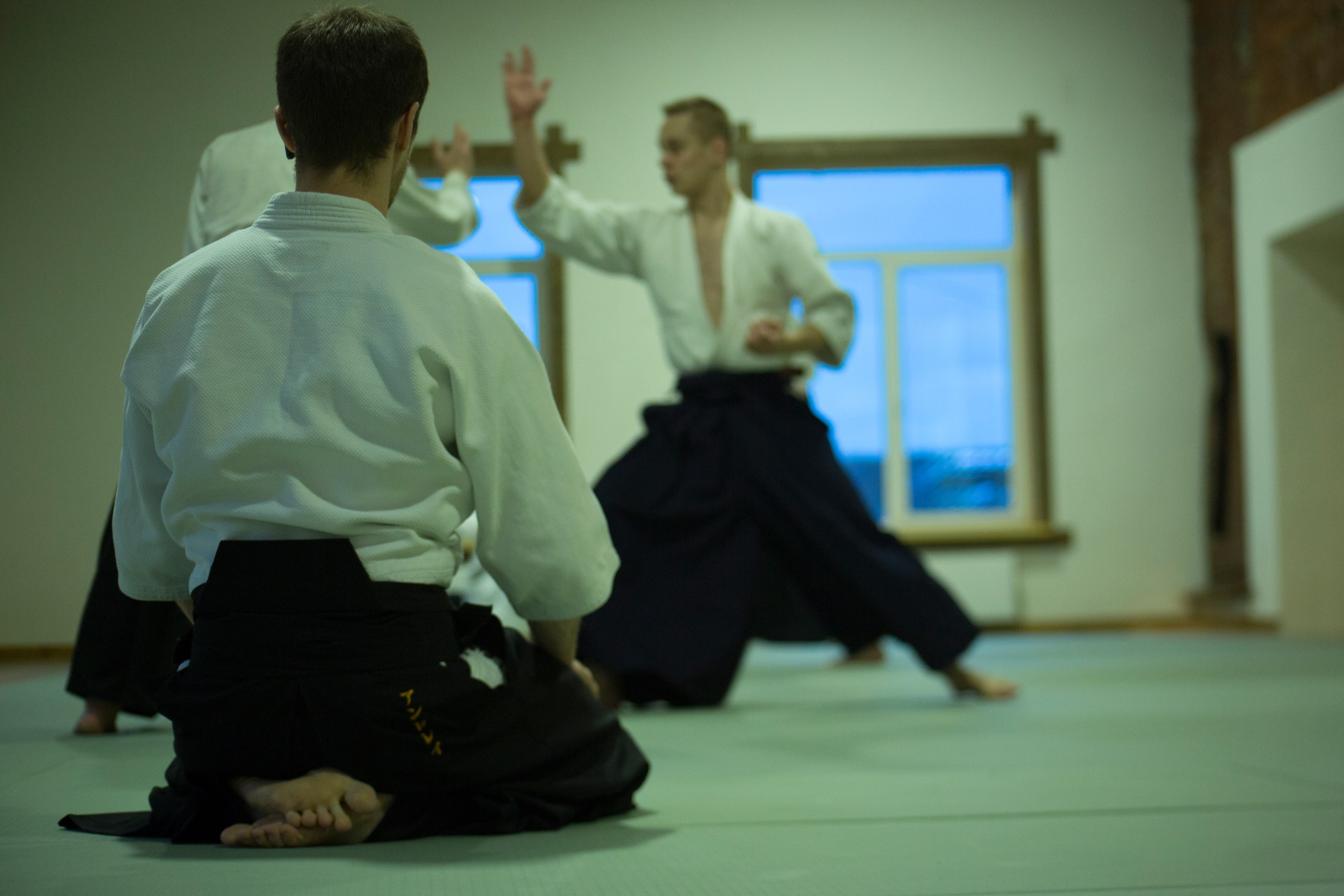 Philip Greenwood Aikido